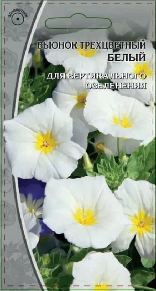 Вьюнок трехцветный  белый  0,5 гр АгроСемФонд