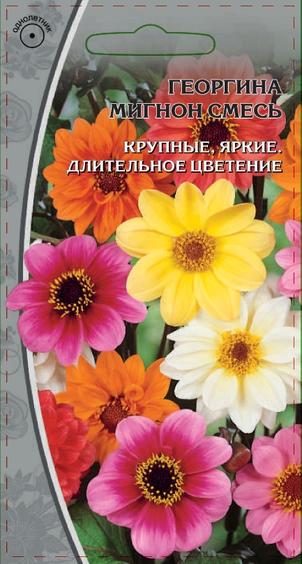 Георгина Мигнон смесь  0,3 гр АгроСемФонд