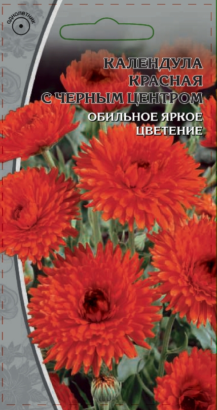 Календула Красная с черным центром  0,2 гр АгроСемФонд