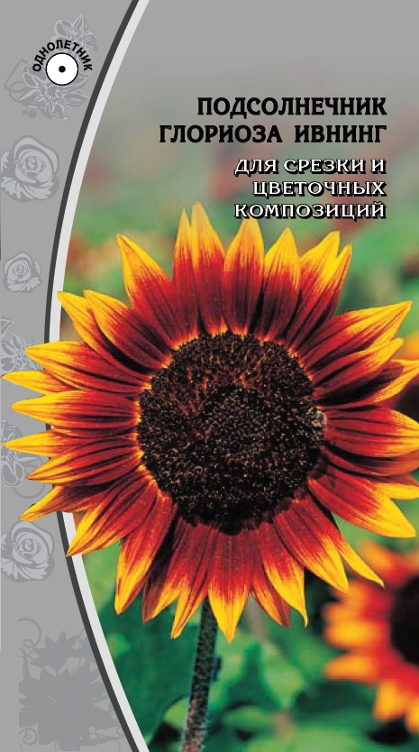 Подсолнечник Глориоза Ивнинг 1 гр АгроСемФонд
