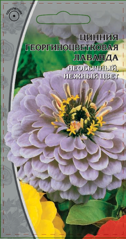 Цинния георгиноцветковая Лаванда 0,5 гр АгроСемФонд