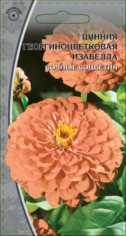 Цинния георгиноцветковая Изабелла 0,5 гр АгроСемФонд
