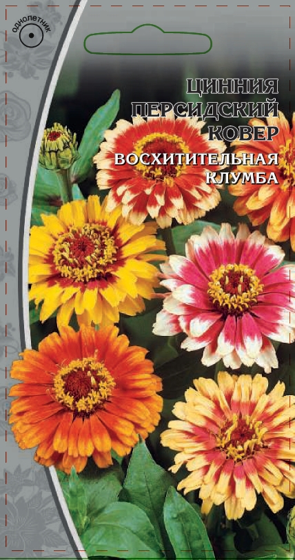 Цинния Персидский ковер 0,2 гр АгроСемФонд