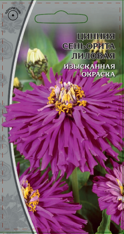 Цинния Синьорита лиловая 0,2 гр АгроСемФонд