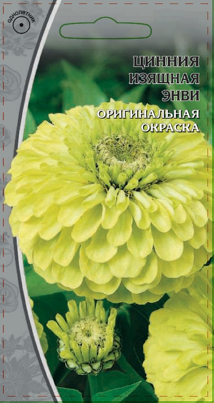 Цинния изящная Энви 0,5 гр АгроСемФонд