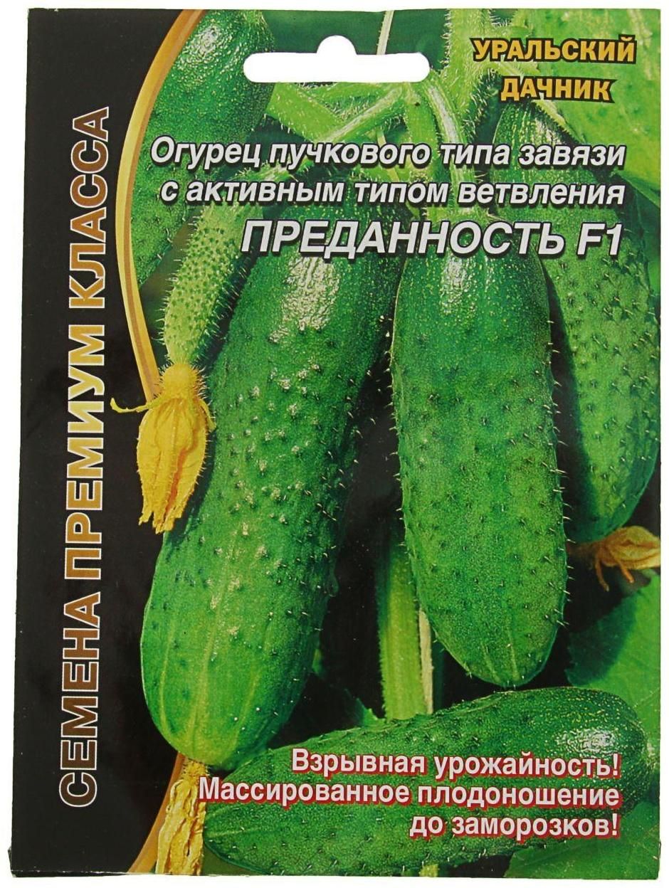 Огурец Преданность F1 (УД) 7 шт. цв.п. АгроСемФонд