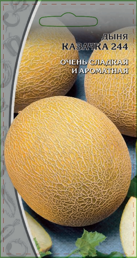 Дыня Казачка 244 1 гр цв.п. АгроСемФонд