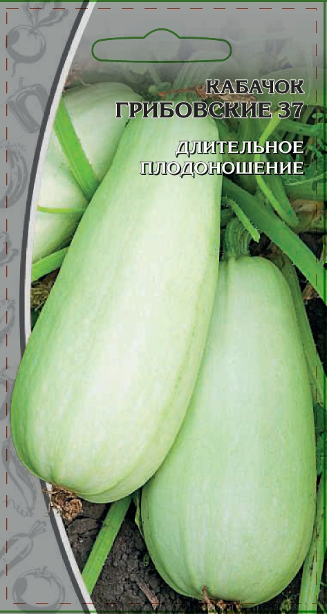 Кабачок Грибовские 37  1 гр цв.п АгроСемФонд