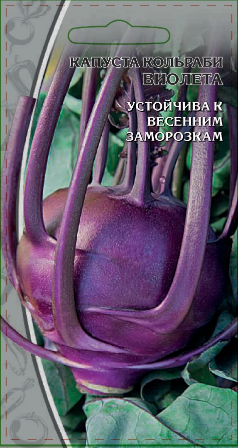 Капуста кольраби Виолетта 1 гр цв.п. АгроСемФонд