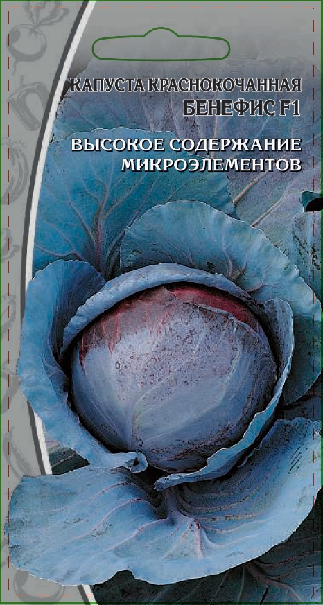 Капуста краcнокочанная Бенефис F1 0,3 гр цв.п. АгроСемФонд