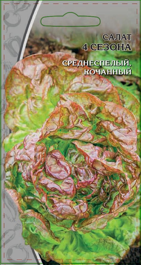 Салат 4 сезона 1 гр цв.п АгроСемФонд