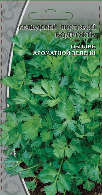 Сельдерей листовой Бодрость 0,5 гр цв.п АгроСемФонд