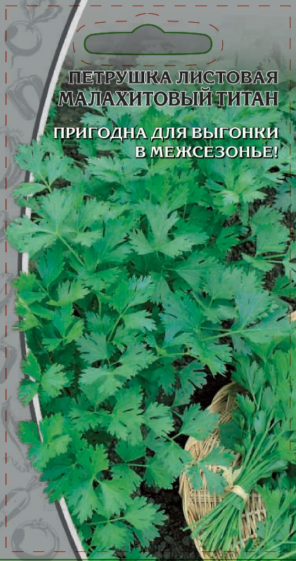 Петрушка листовая Малахитовый титан 2 гр цв.п. АгроСемФонд