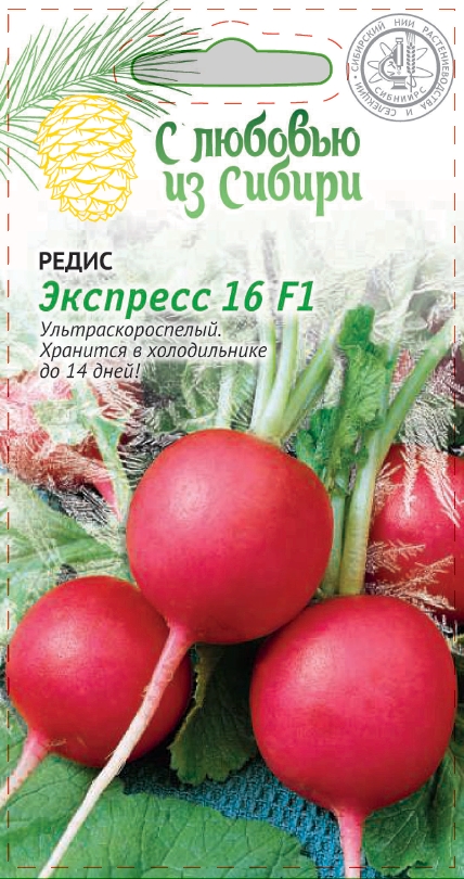 Редис Экспресс 16 F1 2 гр цв.п.(Сибирская серия) АгроСемФонд