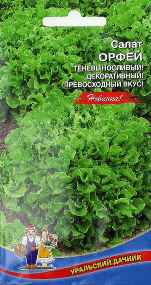 Салат Орфей (УД) 0,25 гр цв.п АгроСемФонд