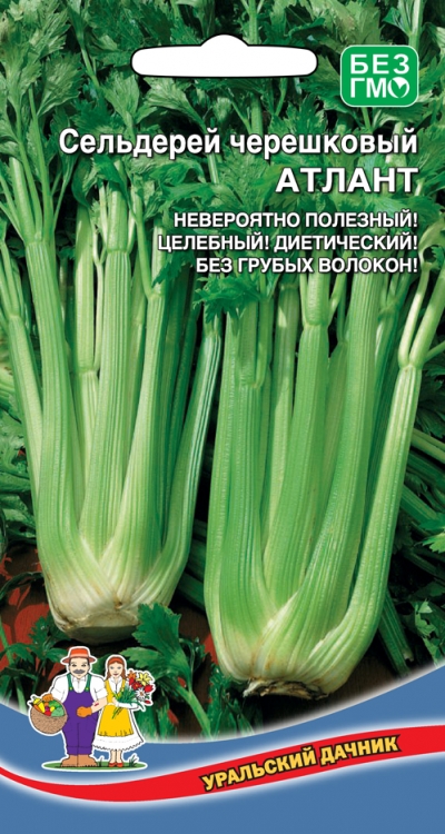 Сельдерей черешковый Атлант (УД) 0,25 гр цв.п АгроСемФонд