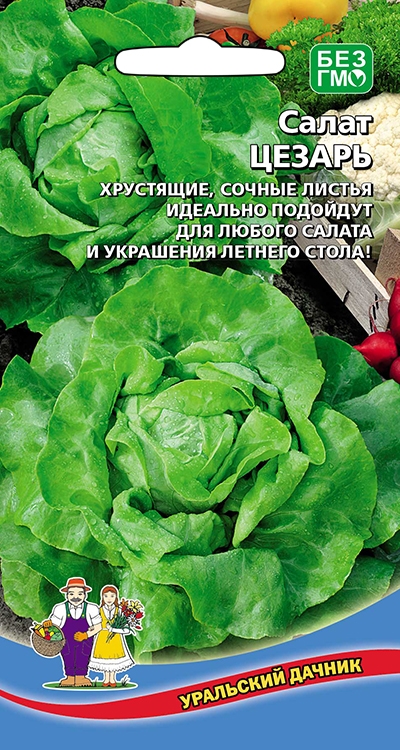 Салат Цезарь (УД) 0,25 гр цв.п АгроСемФонд