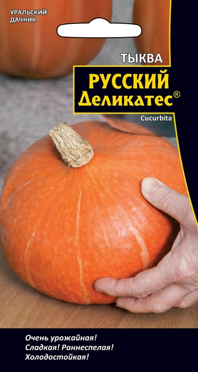 Тыква Русский деликатес (УД) 5 шт АгроСемФонд