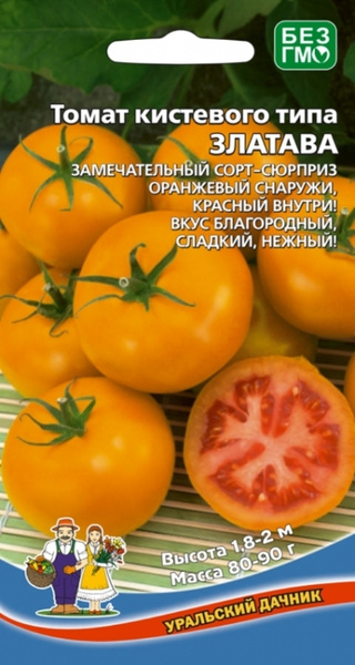 Томат Златава-кистевого типа (УД) 12 шт цв.п АгроСемФонд