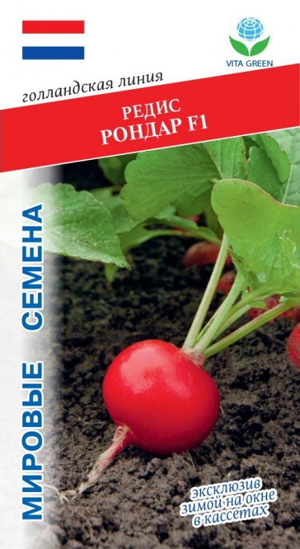 Редис Рондар F1 (Syngenta) 1 гр цв.п. АгроСемФонд