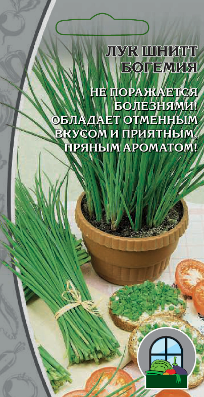 Лук шнитт Богемия 0,3 г цв.п. АгроСемФонд