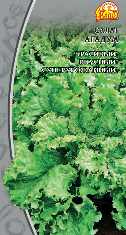Салат Агадум (Селекция "ВХ")1 гр цв.п АгроСемФонд