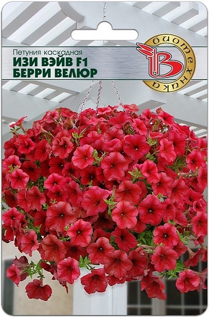 Петуния каскадная Изи Вэйв F1 Берри Велюр 5 шт АгроСемФонд