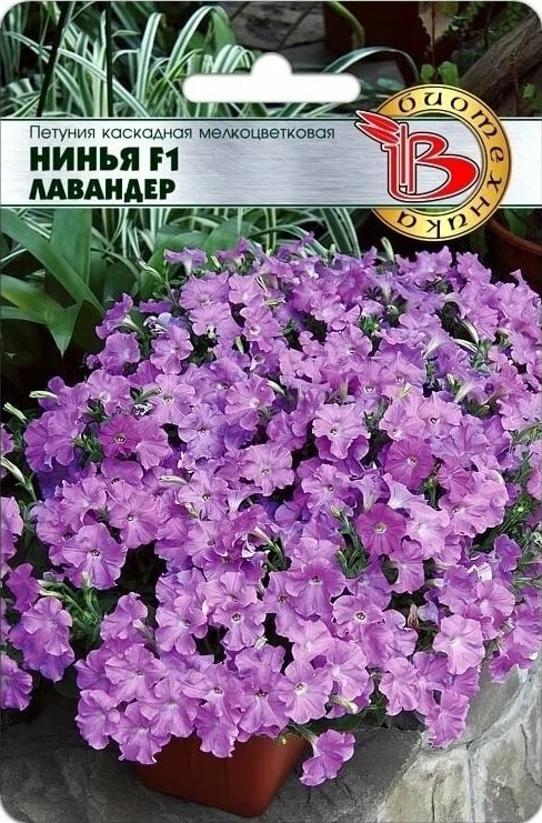 Петуния каскадная мелкоцветковая Нинья F1 Лавандер 5 шт АгроСемФонд