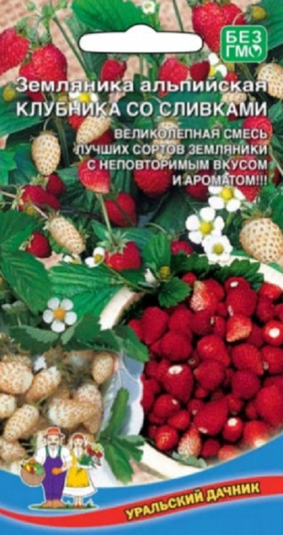Земляника альпийская Клубника со сливками (УД) 0,05 гр цв. п. АгроСемФонд