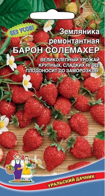 Земляника ремонтантая Барон Солемахер (УД) 0,05 гр цв. п. АгроСемФонд