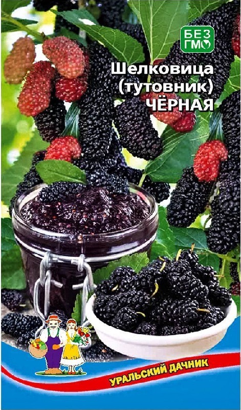 Шелковица(тутовник) Черная (УД) 0,15 гр АгроСемФонд