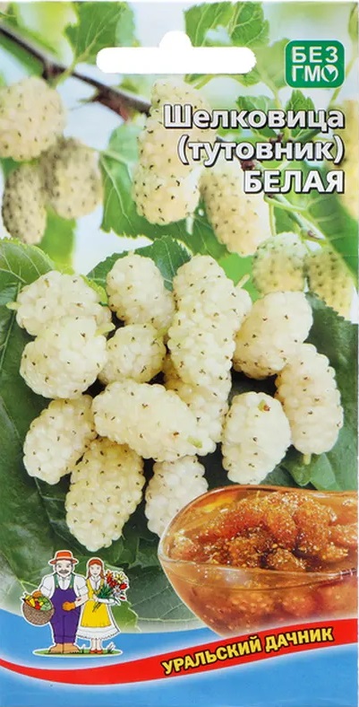 Шелковица(тутовник) Белая (УД) 0,15 гр АгроСемФонд