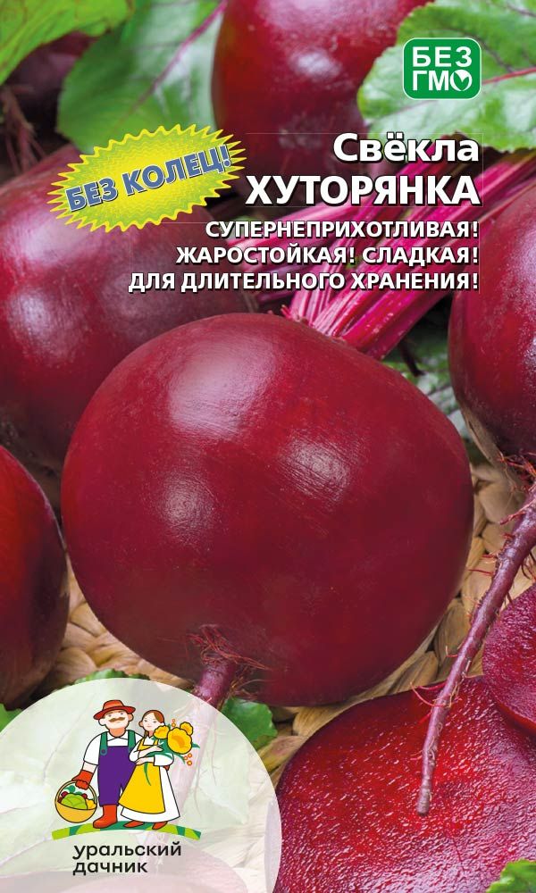 Свекла Хуторянка (УД) 2 гр. цв.п. АгроСемФонд