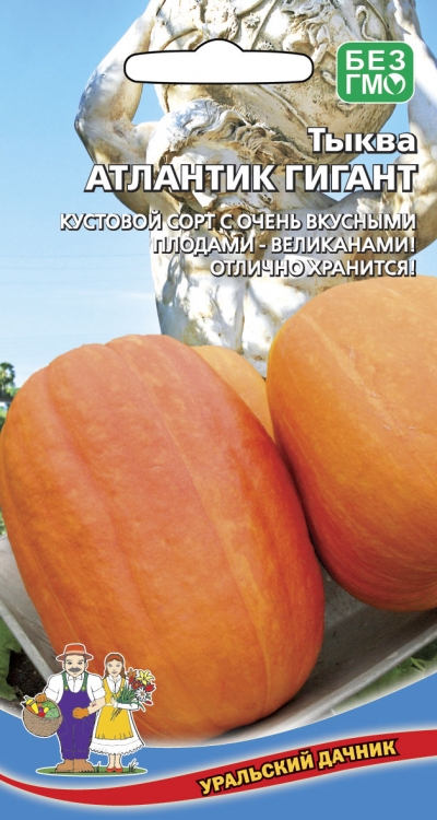 Тыква Атлантик Гигант (УД) 3 шт цв.п. АгроСемФонд