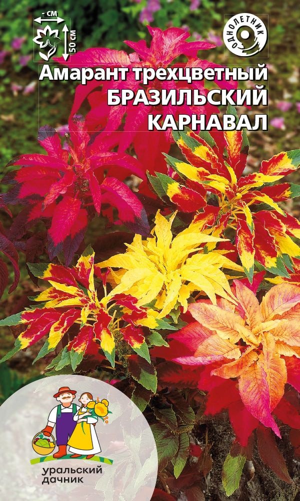 Амарант Бразильский карнавал, трехцветный (УД) 0,05 гр цв п АгроСемФонд