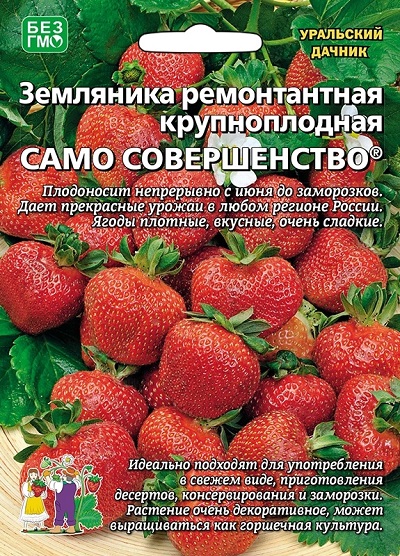 Земляника Само совершенство - ремонтантная (УД) 10 шт АгроСемФонд