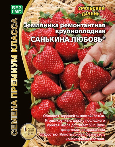 Земляника Санькина любовь - ремонтантная (УД) 6 шт АгроСемФонд