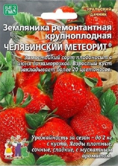 Земляника Челябинский метеорит - ремонтантная (УД) 10 шт АгроСемФонд