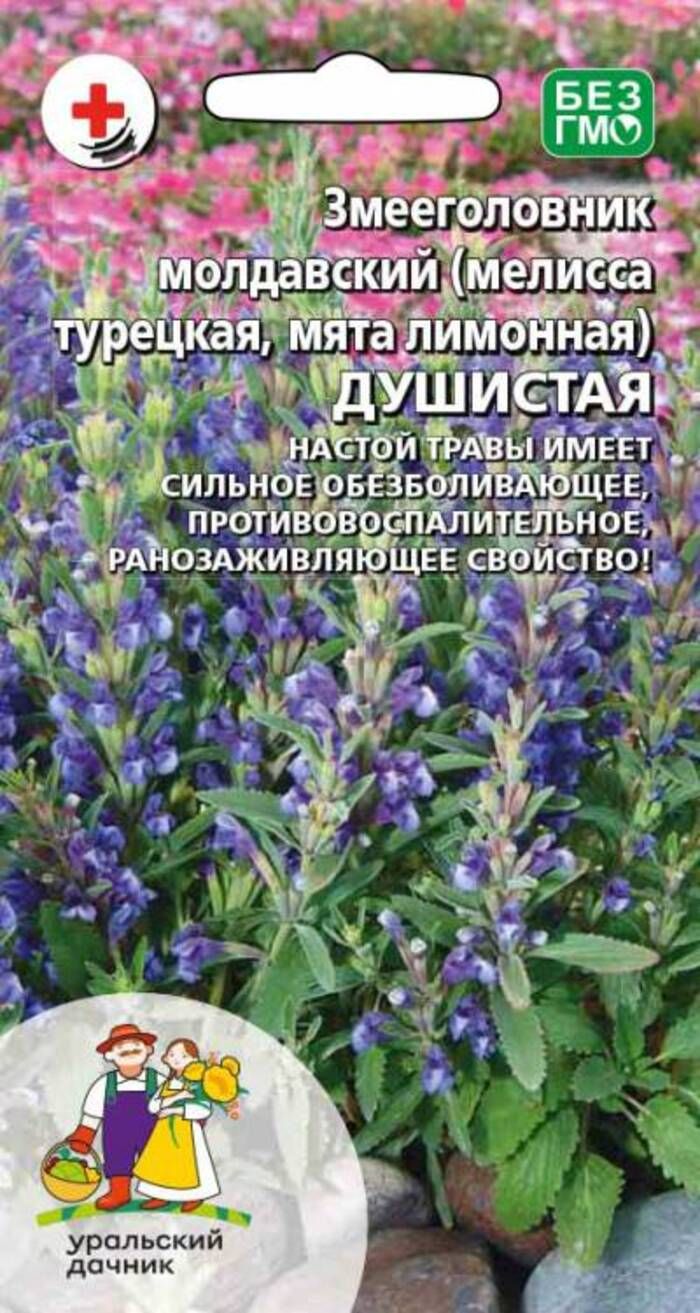 Змееголовник молдавский (мелисса турецкая, мята лимонная) Душистая (УД) 0,2 гр АгроСемФонд