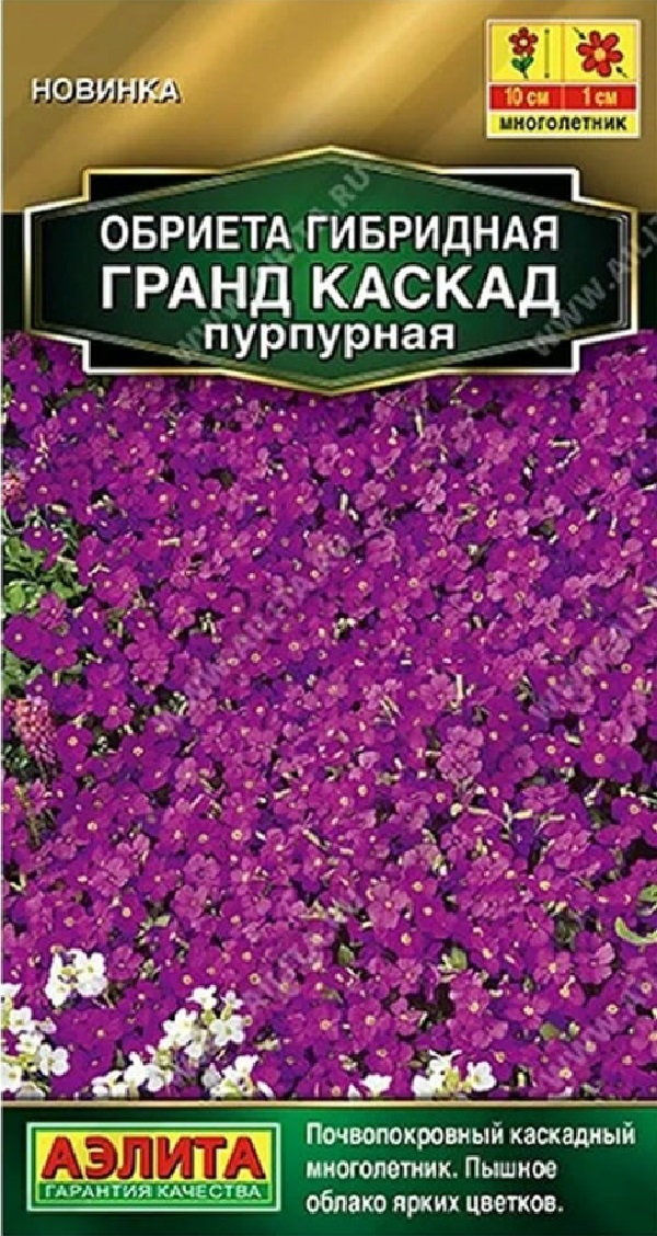 Обриета Гранд каскад пурпурная (Аэлита) 0,05 гр цв п АгроСемФонд