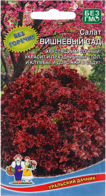 Салат Вишневый сад (УД) 0,25 гр цв.п АгроСемФонд