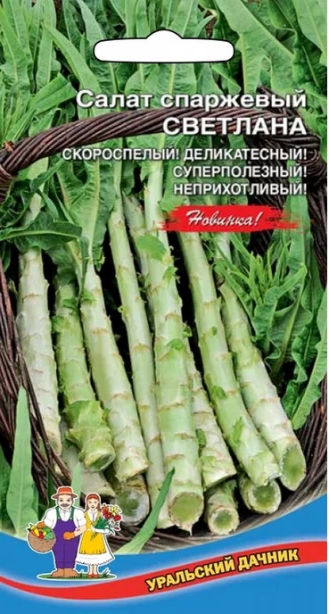 Салат Светлана-спаржевая (УД) 0,25 гр цв.п АгроСемФонд