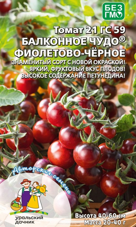 Томат Балконное Чудо фиолетово-черное (УД) 12 шт цв.п АгроСемФонд