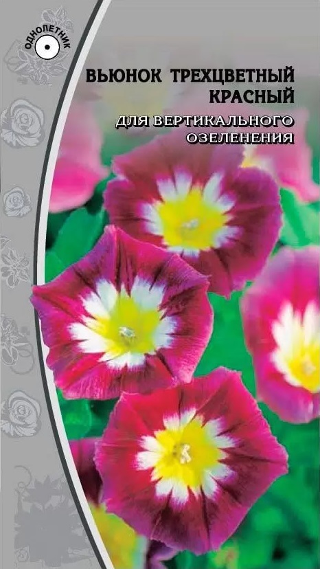 Вьюнок трехцветный  красный 0,5 гр АгроСемФонд