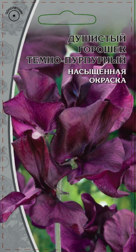 Душистый горошек Темно-пурпурный  0,5 гр АгроСемФонд