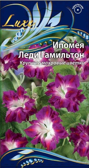 Ипомея Леди Гамильтон 0,5 гр АгроСемФонд