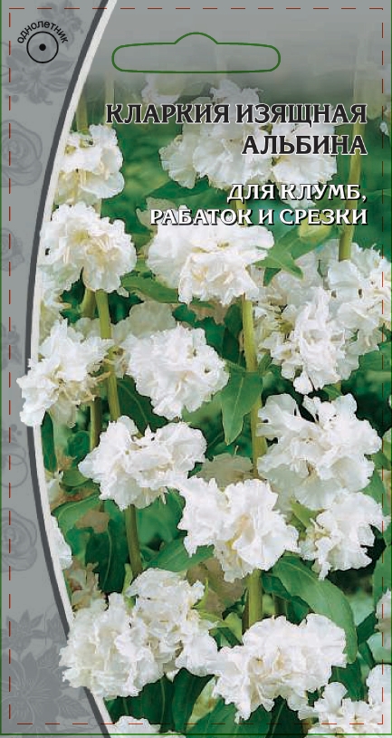 Кларкия изящная Альбина  0,2 гр АгроСемФонд