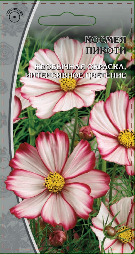 Космея Пикоти  0,5 гр АгроСемФонд