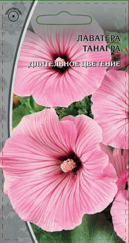 Лаватера Танагра  0,5 гр АгроСемФонд