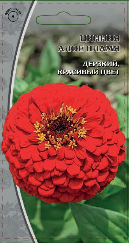 Цинния Алое пламя 0,5 гр АгроСемФонд